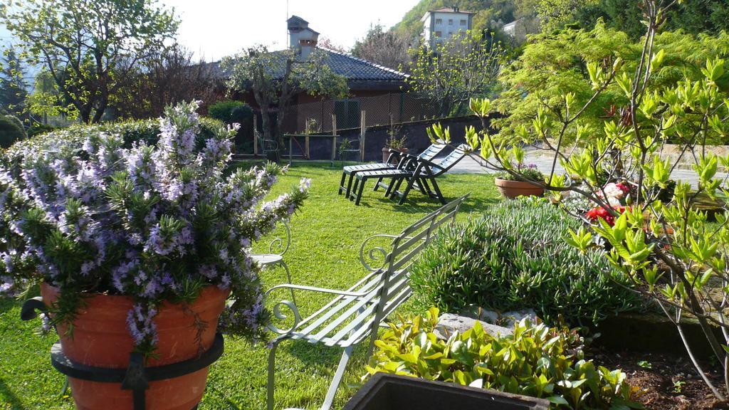 Casa Beatrice Apartman Oliveto Lario Kültér fotó